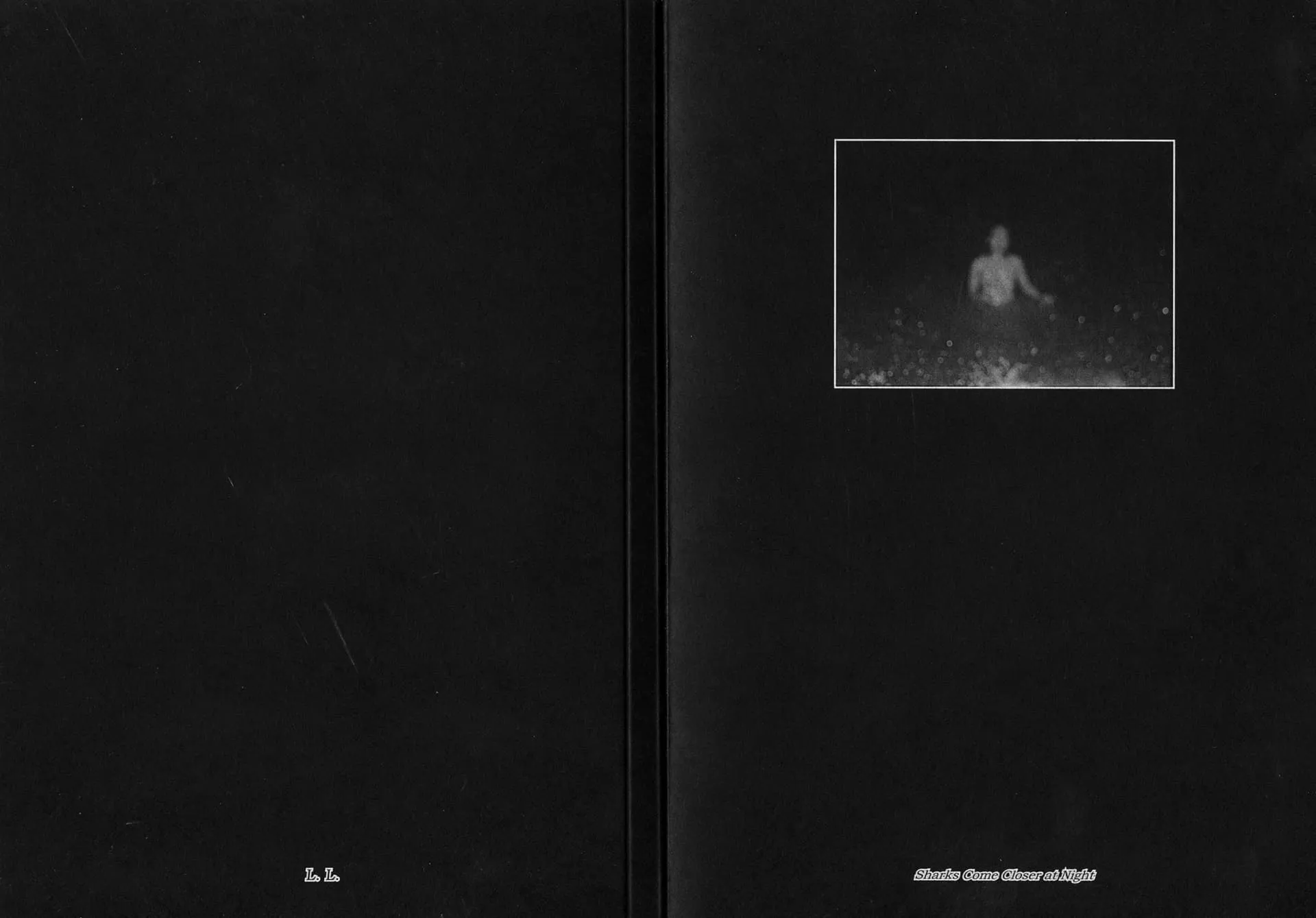 Sharks Come Closer at Night