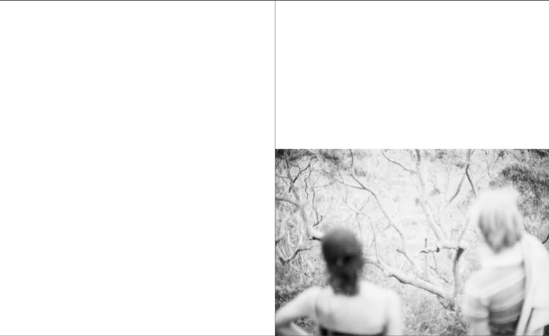 Drizzle Honey on your friends