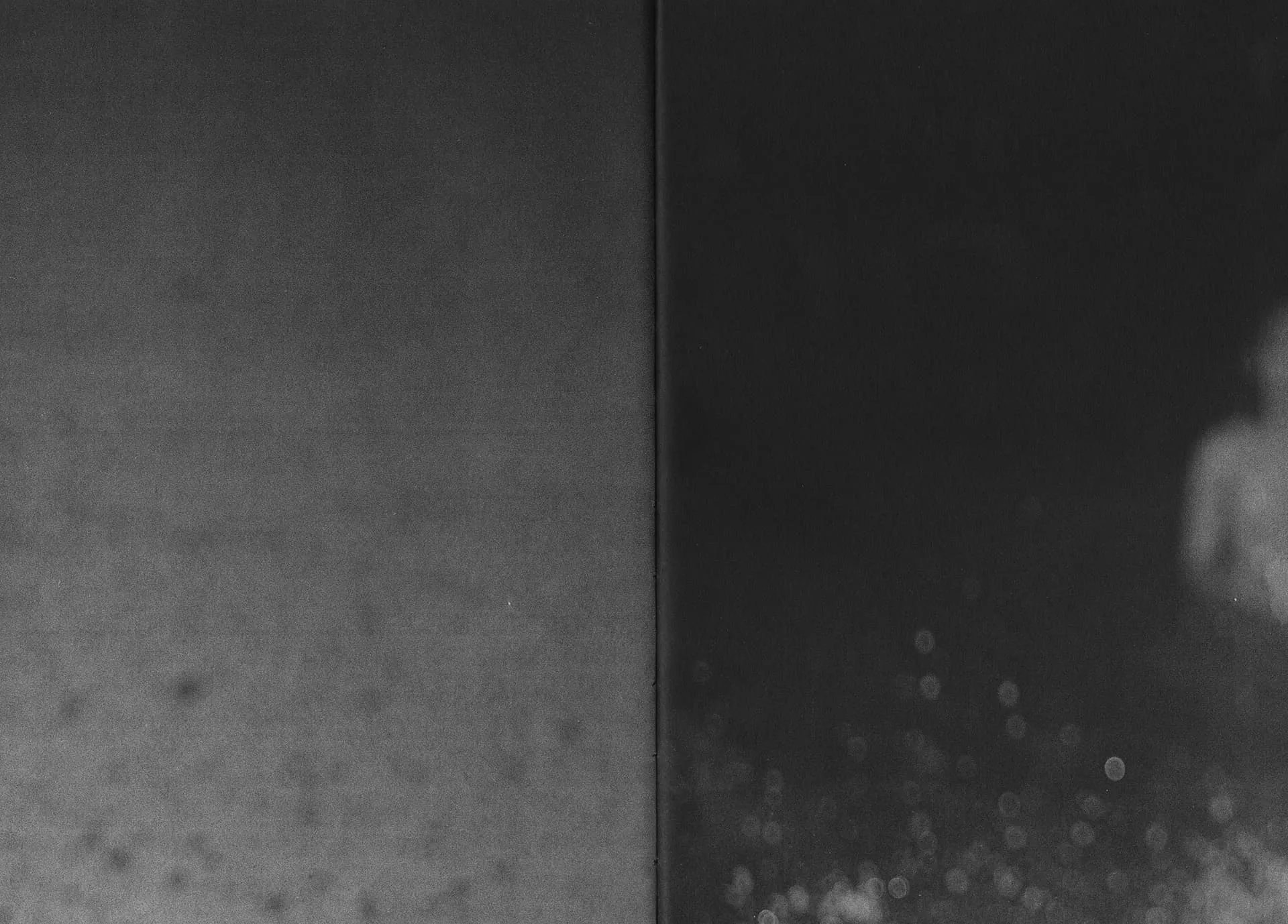 Sharks Come Closer at Night