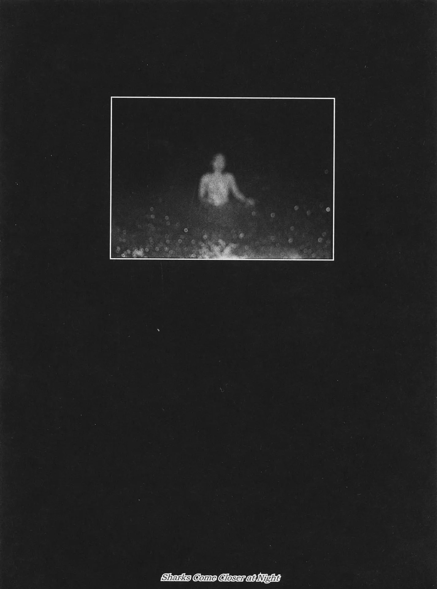 Sharks Come Closer at Night