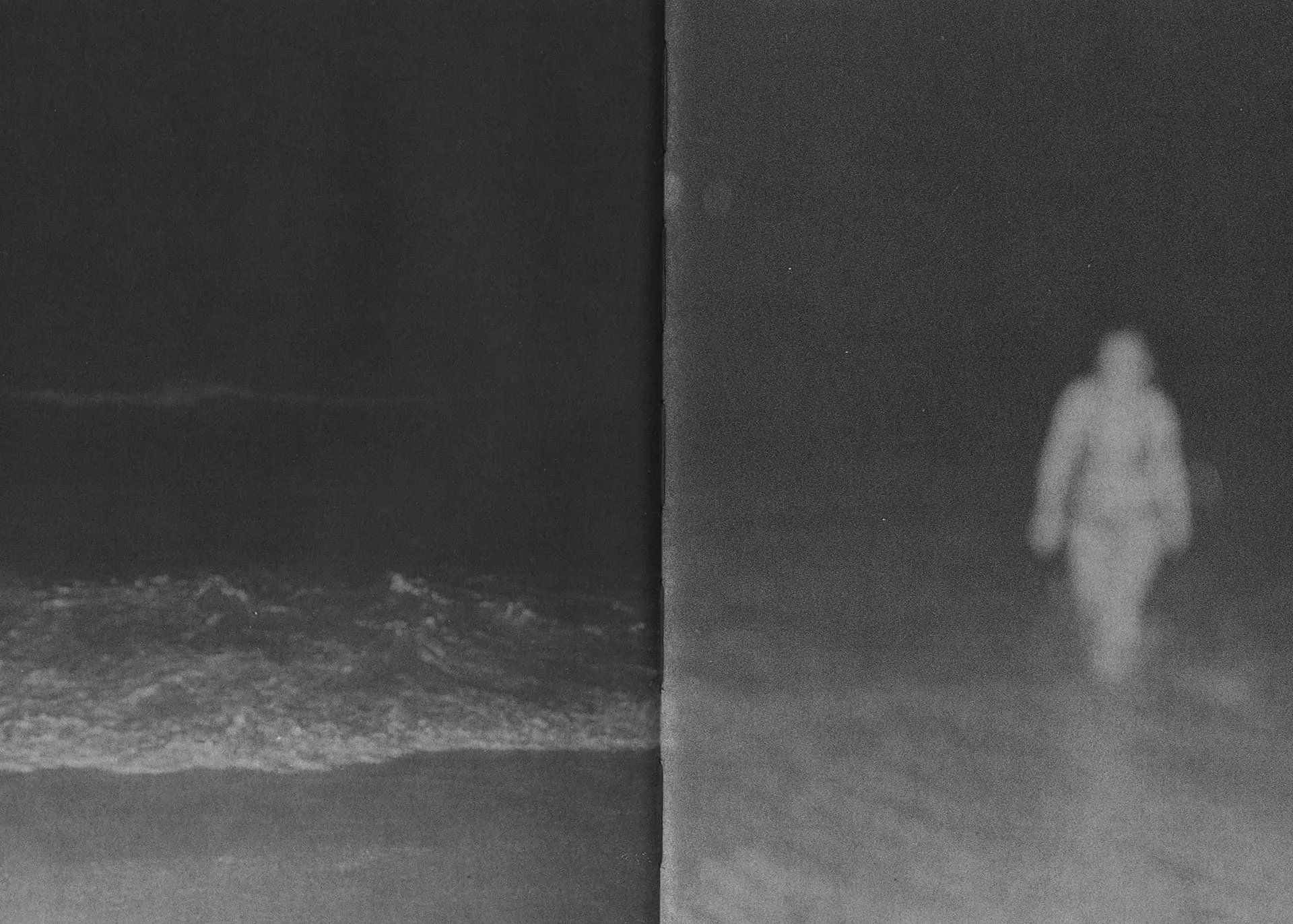 Sharks Come Closer at Night