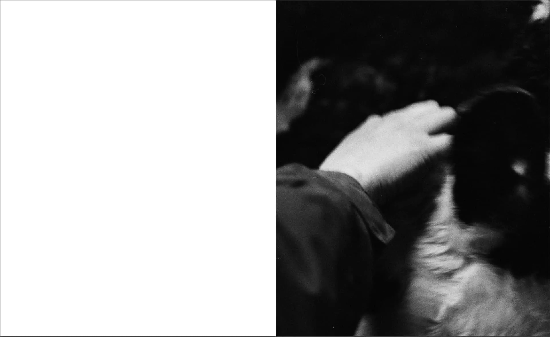 Drizzle Honey on your friends