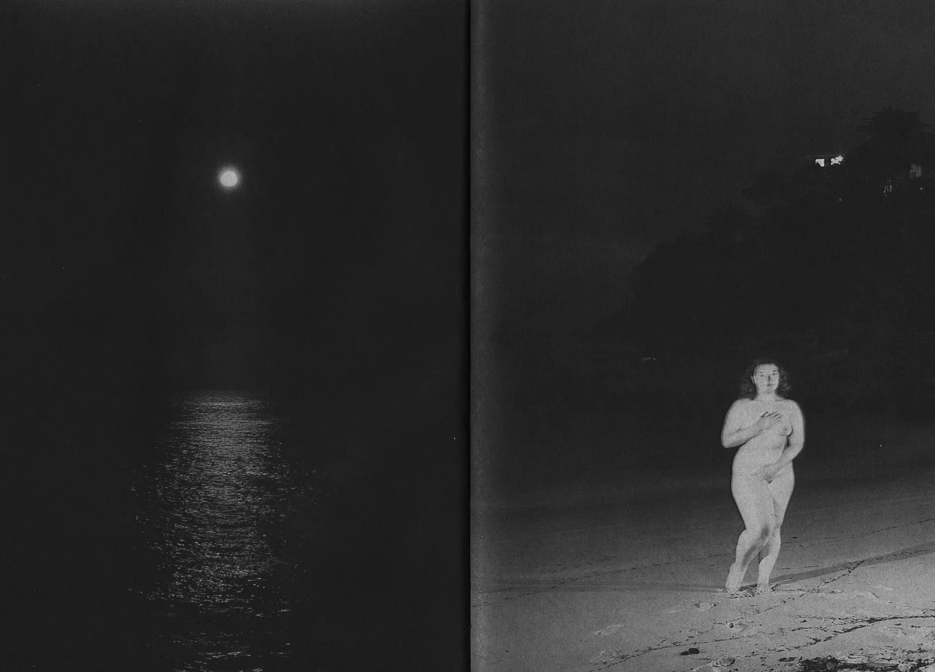 Sharks Come Closer at Night