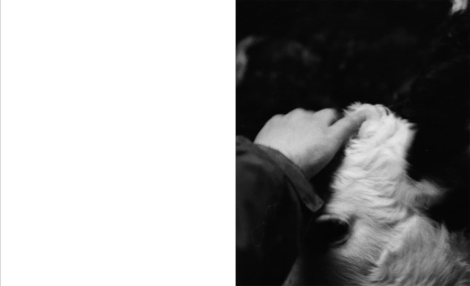 Drizzle Honey on your friends