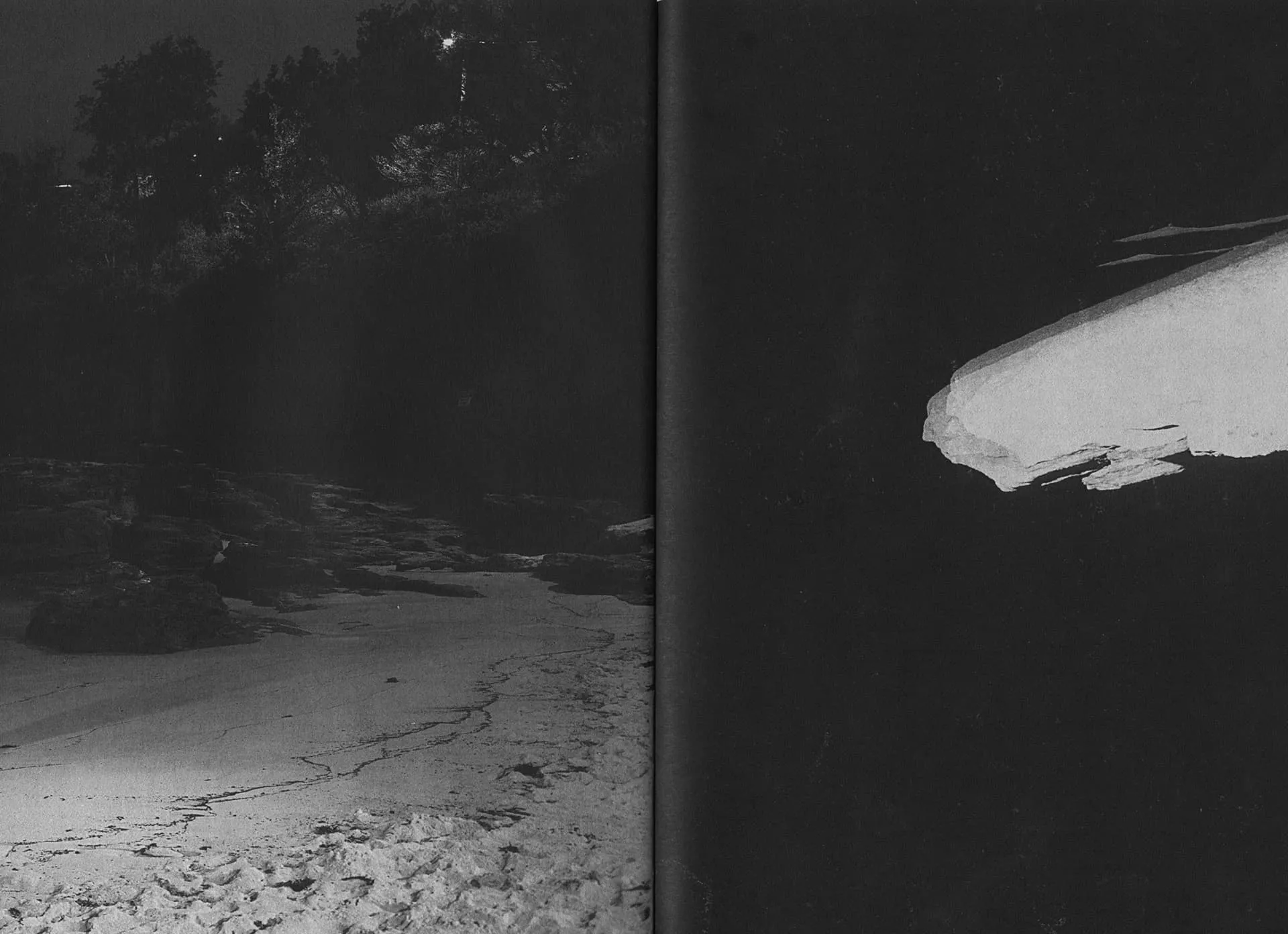 Sharks Come Closer at Night