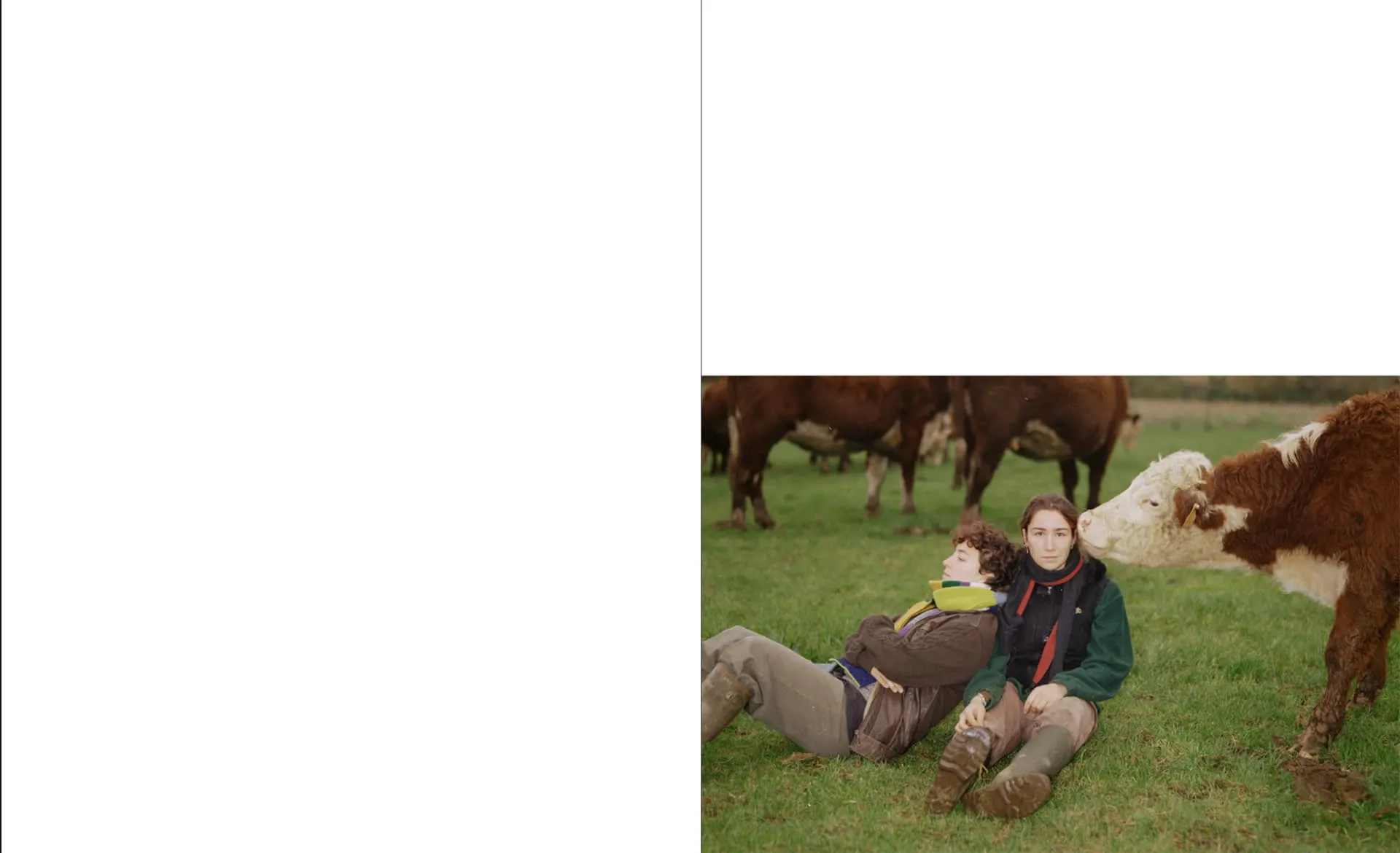 Drizzle Honey on your friends