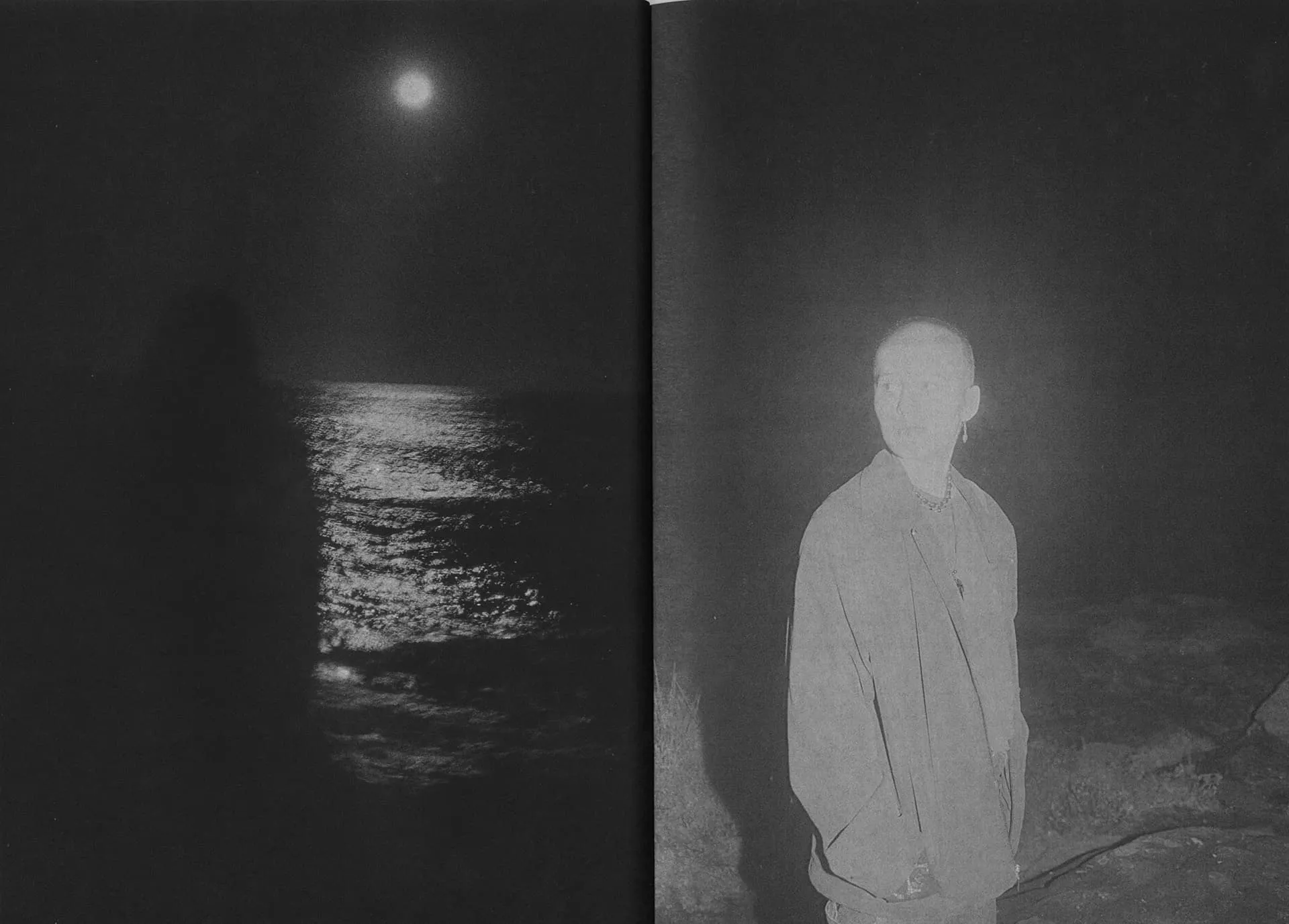 Sharks Come Closer at Night