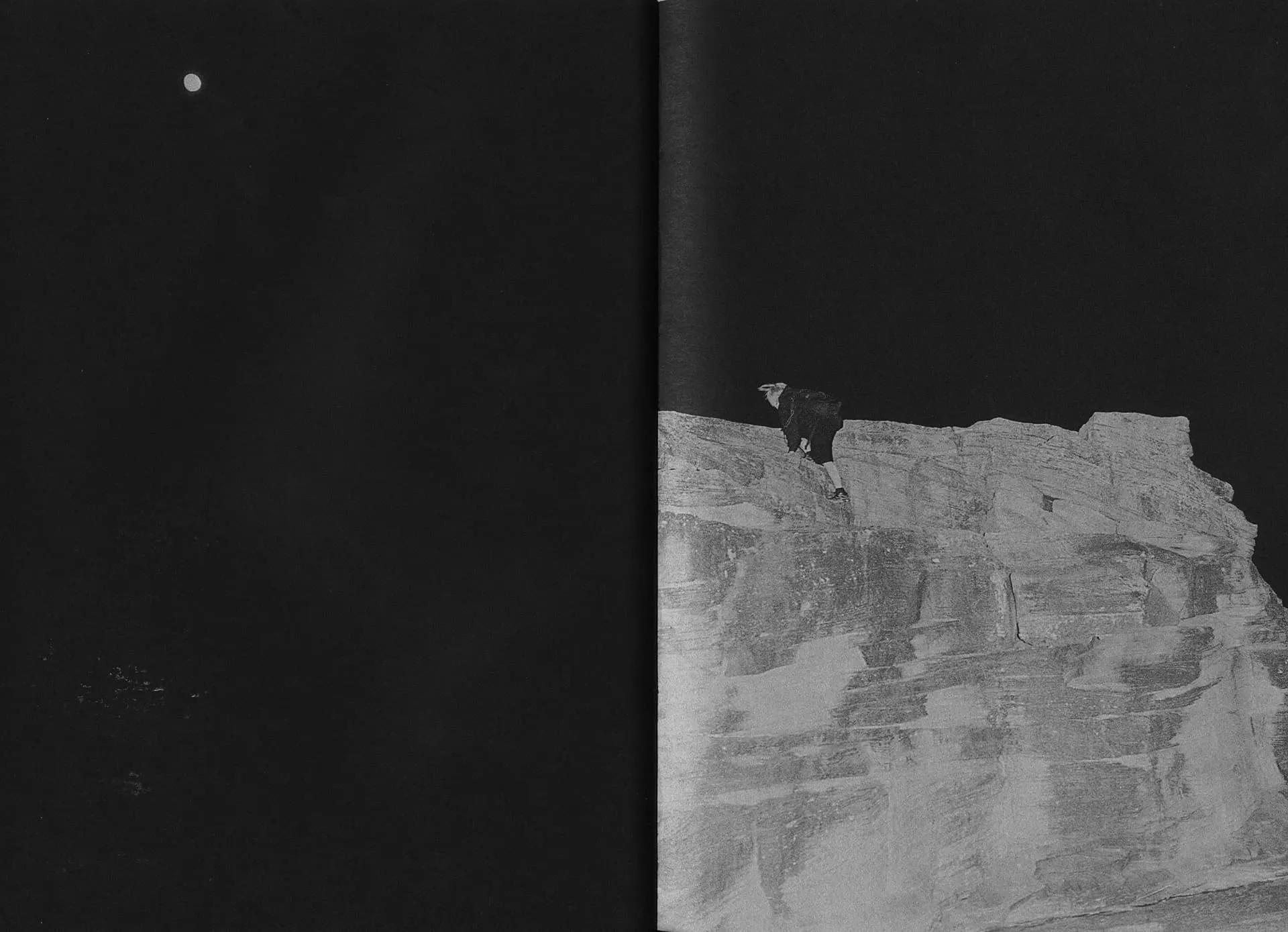 Sharks Come Closer at Night