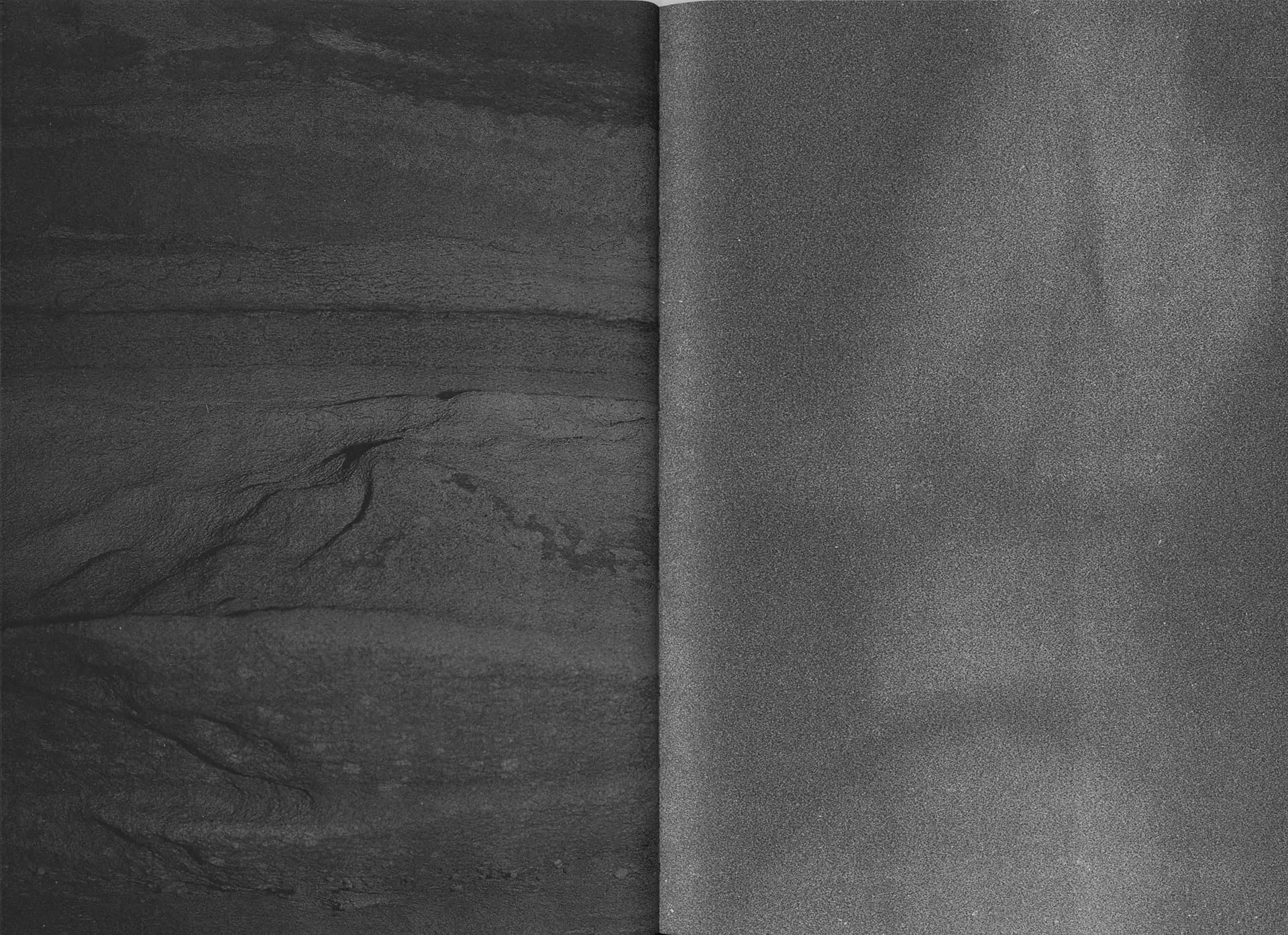 Sharks Come Closer at Night