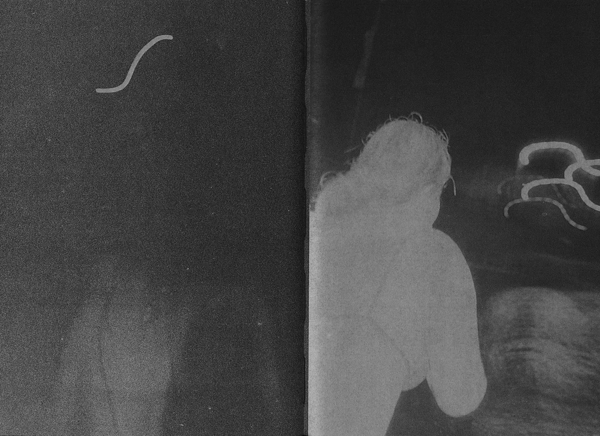 Sharks Come Closer at Night