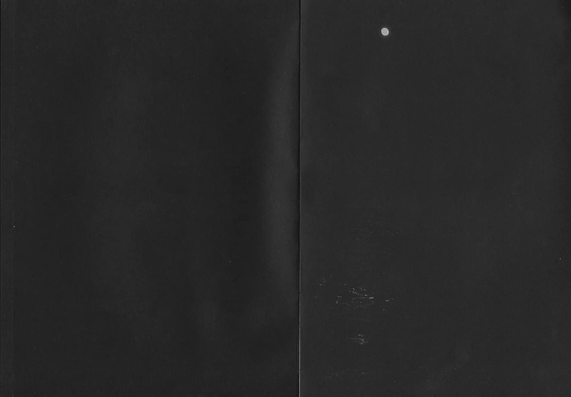 Sharks Come Closer at Night