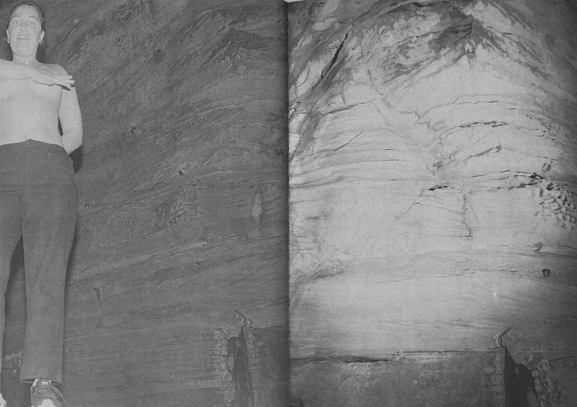 Sharks Come Closer at Night