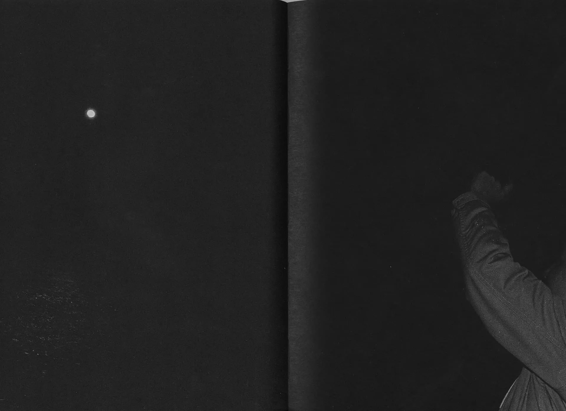 Sharks Come Closer at Night