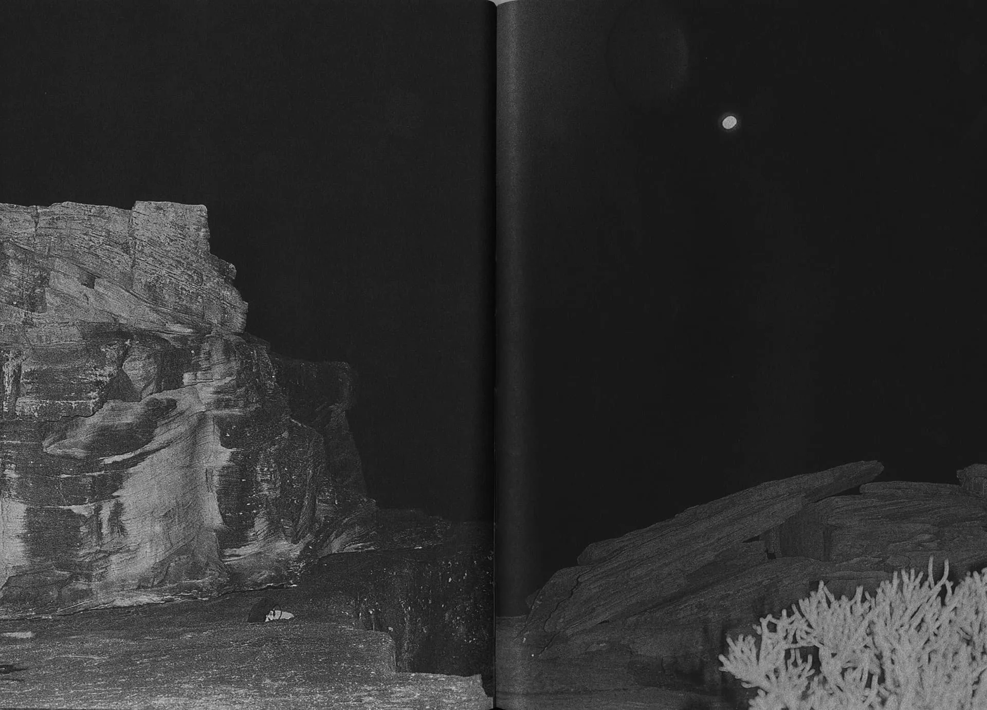 Sharks Come Closer at Night