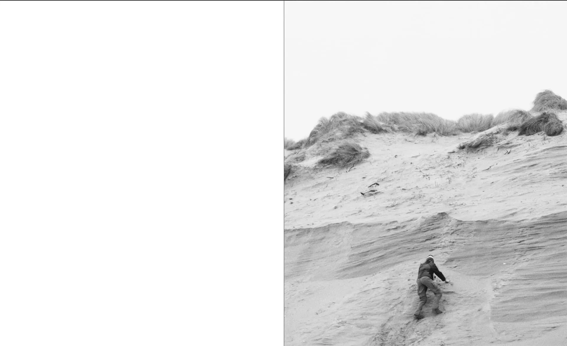 Drizzle Honey on your friends