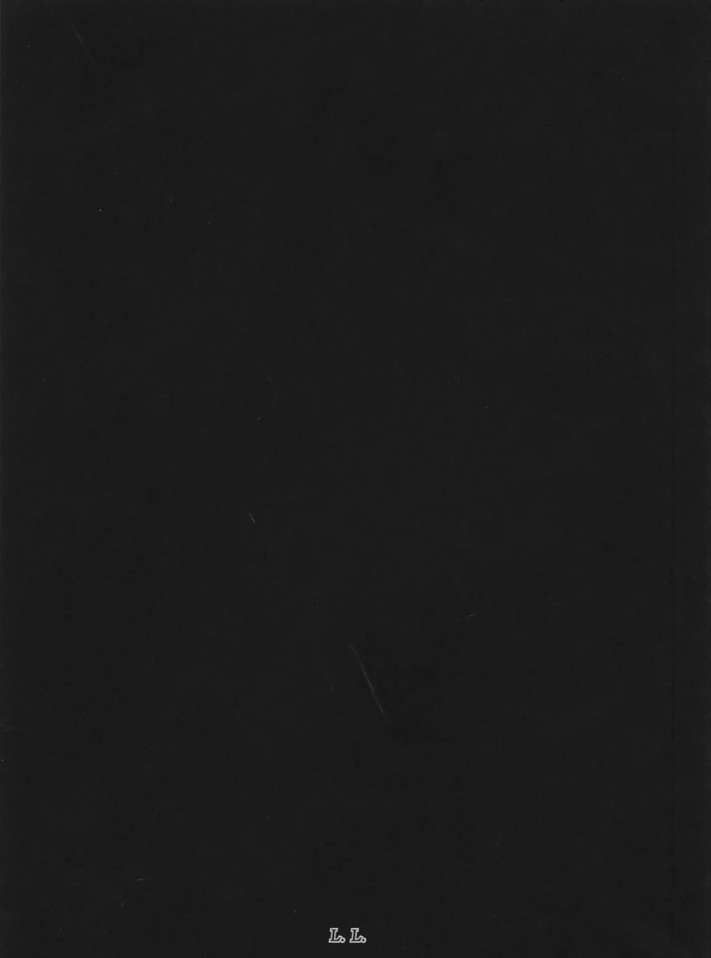 Sharks Come Closer at Night