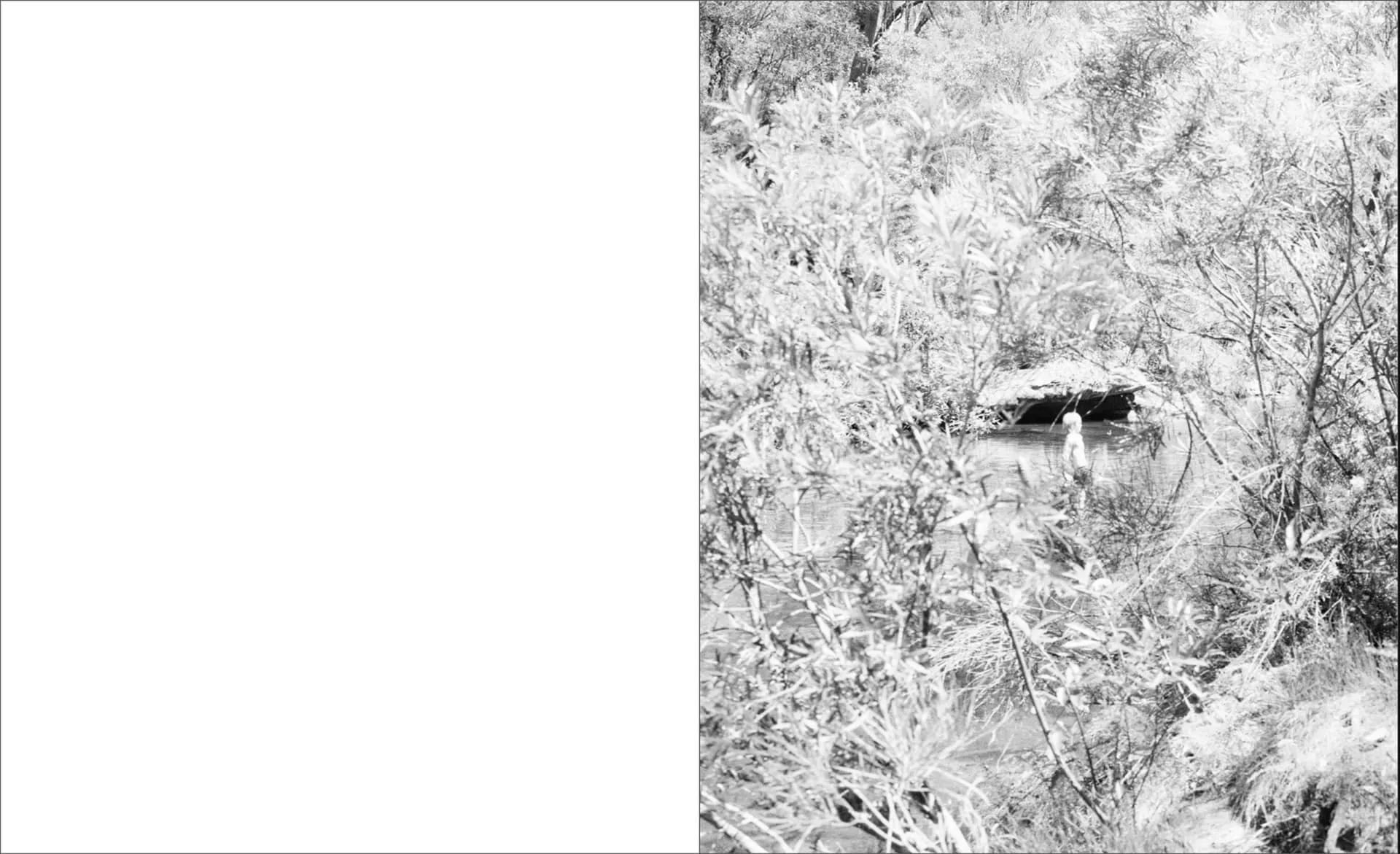 Drizzle Honey on your friends