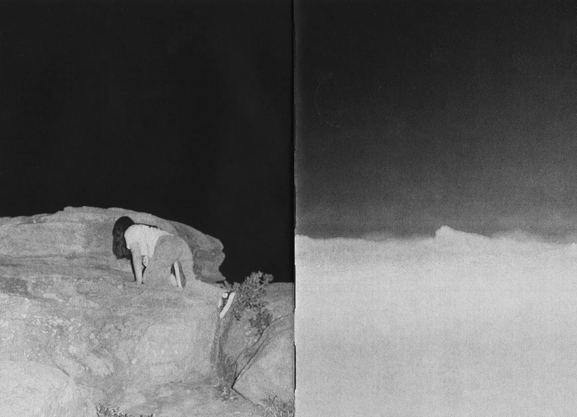 Sharks Come Closer at Night