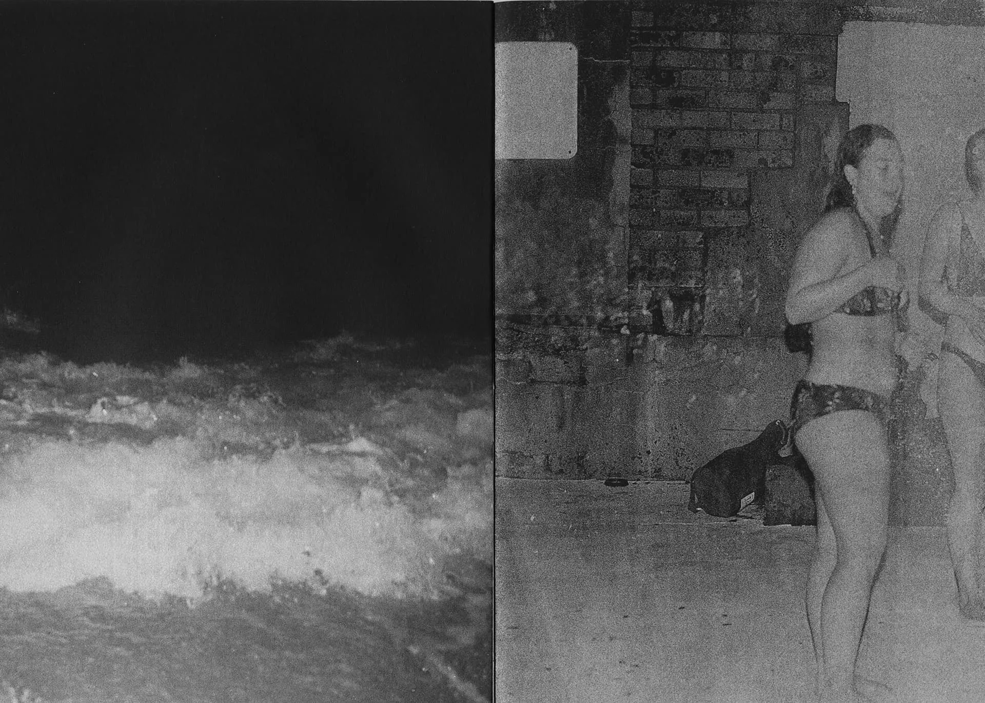 Sharks Come Closer at Night